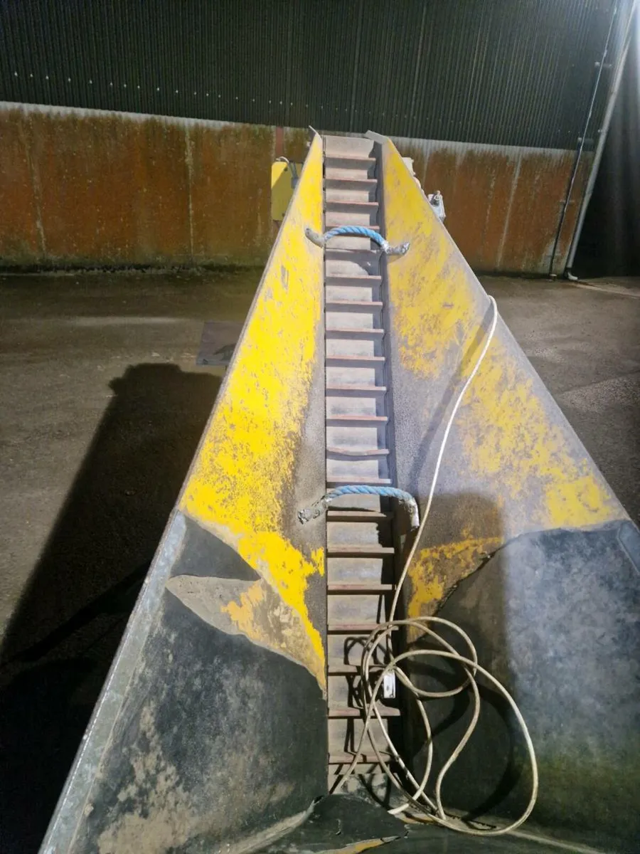 Potato  prepacker scales - Image 4