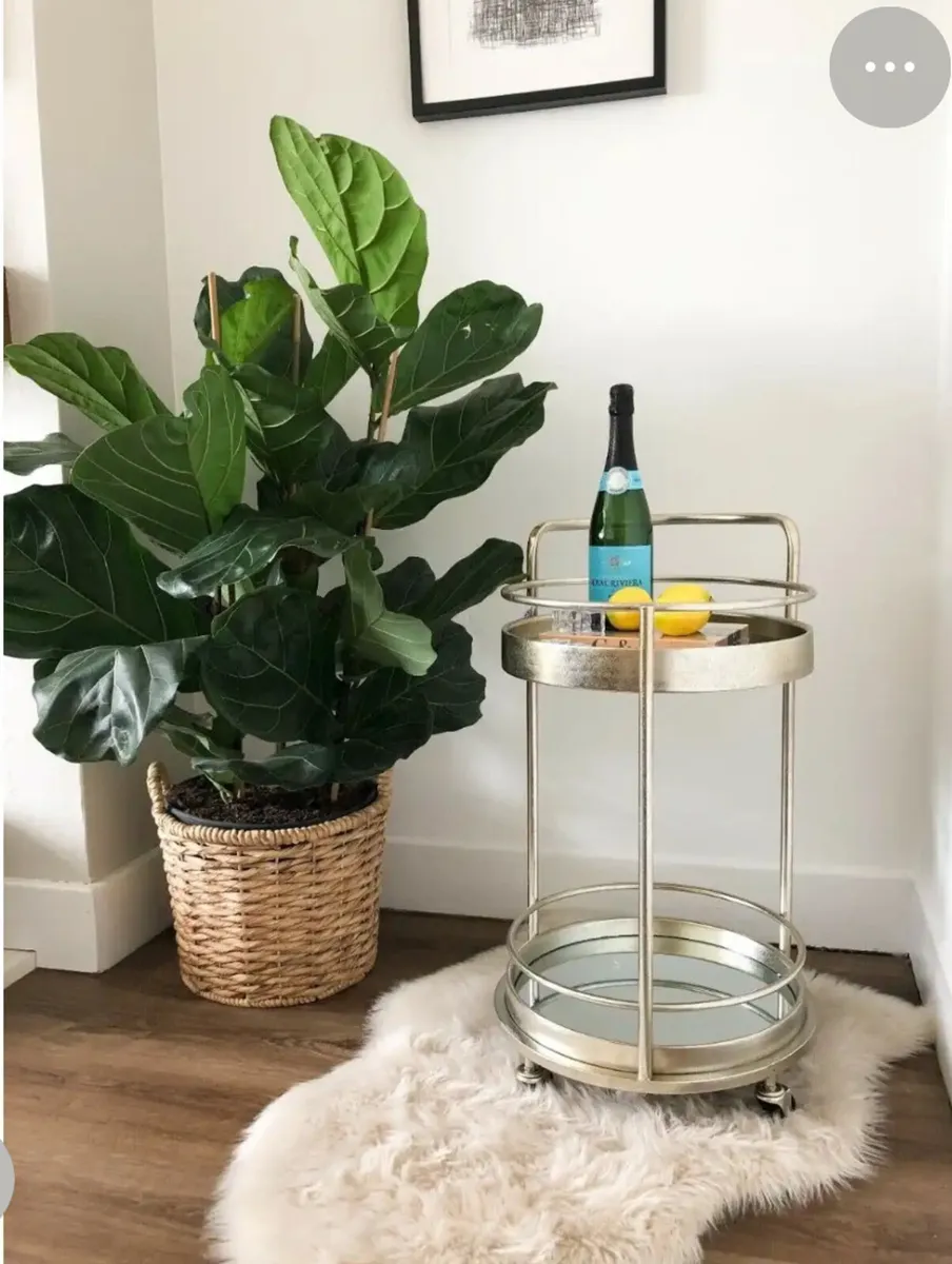 Drinks trolley for the party season - Image 2