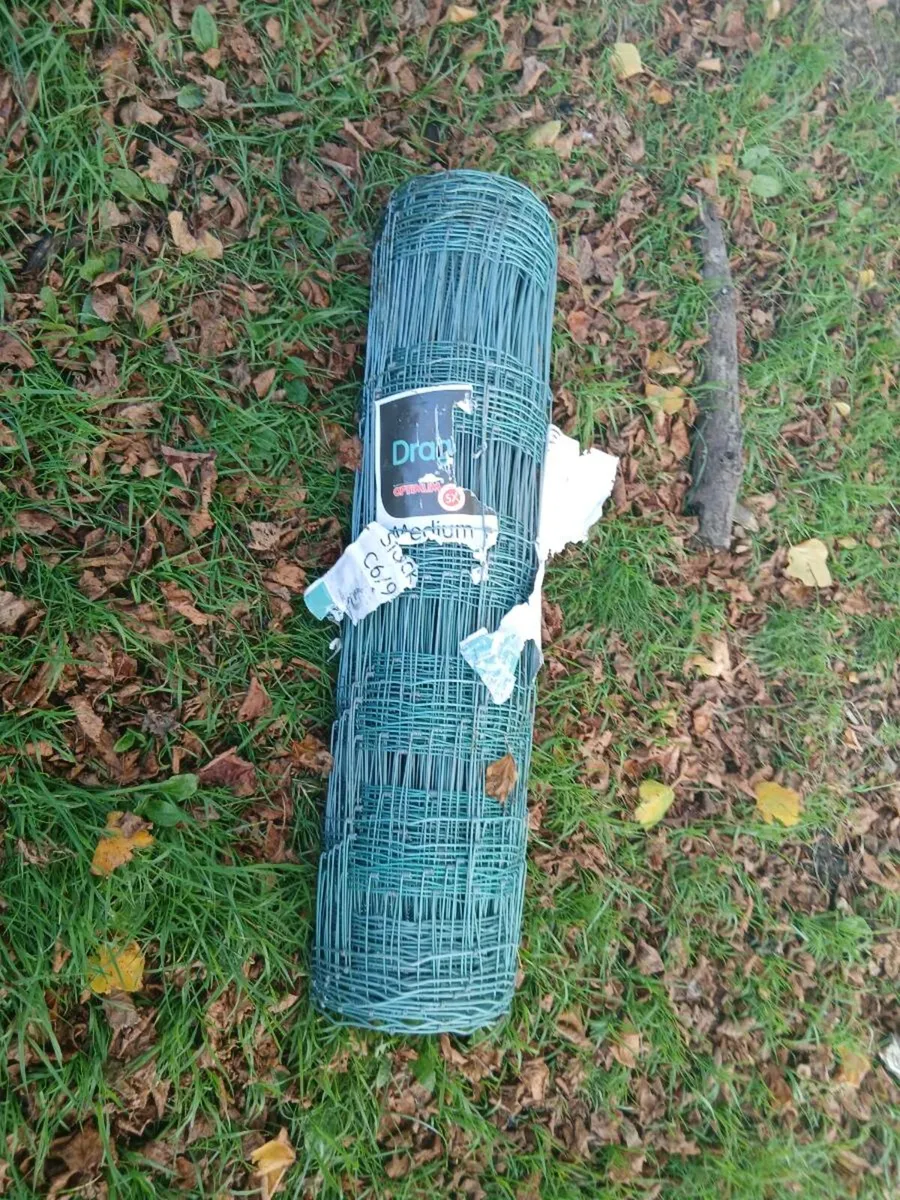 🐑Sheep wier🦌 Dear wier Delivery available.🇨🇮 - Image 3