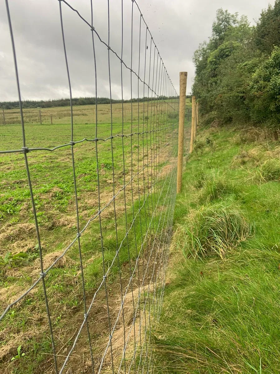 🐑Sheep wier🦌 Dear wier Delivery available.🇨🇮 - Image 4