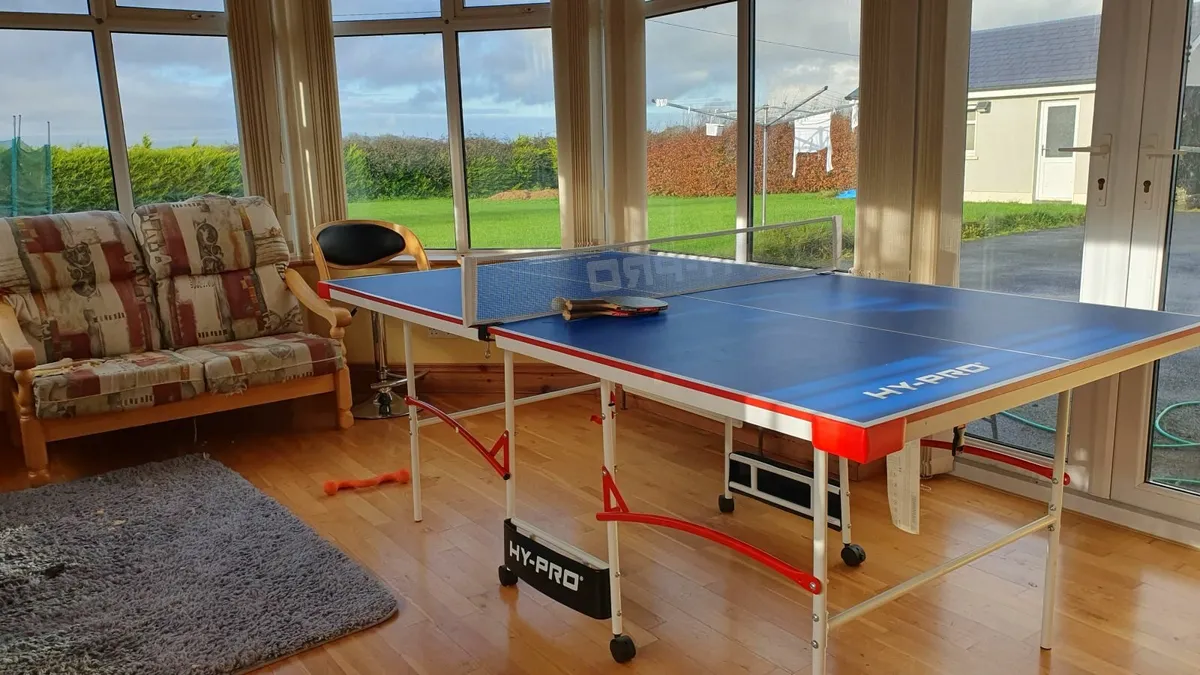 Table Tennis Table - Image 1