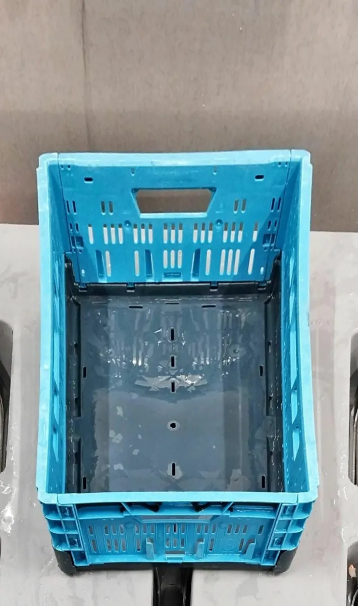 Collapsable & Solid Trays - Image 2