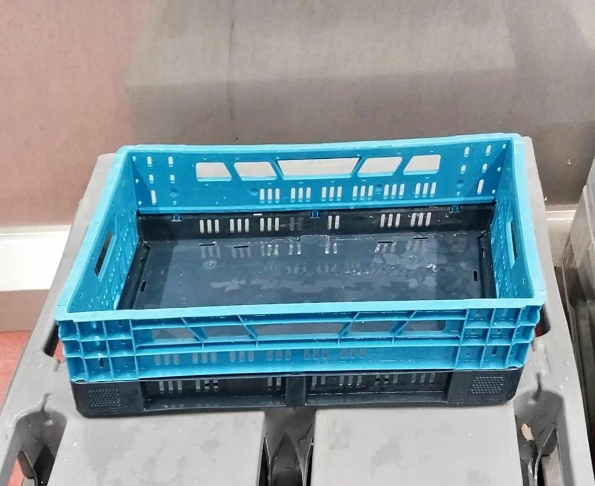 Collapsable & Solid Trays - Image 4