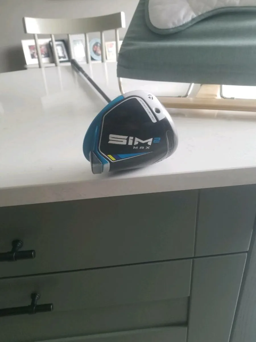 Sim 2 max driver - Image 1