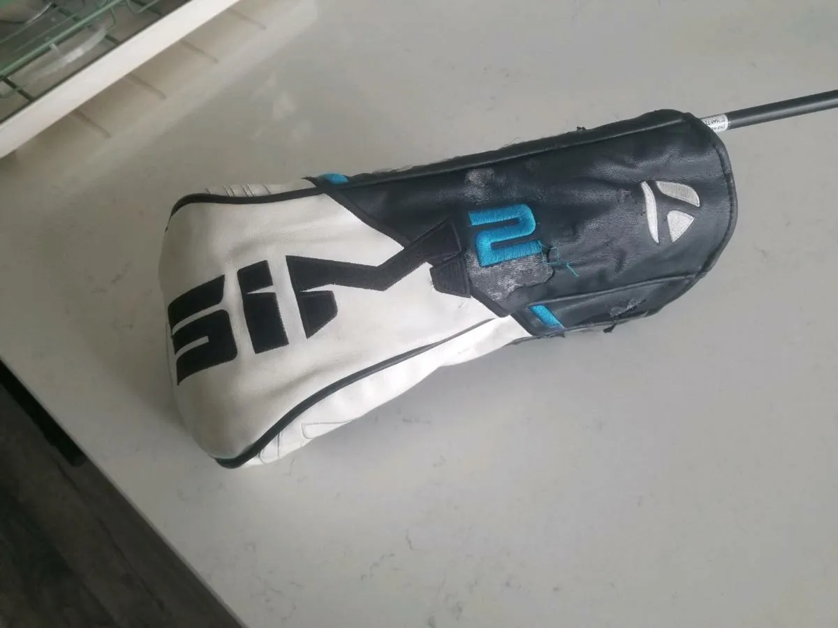 Sim 2 max driver - Image 3