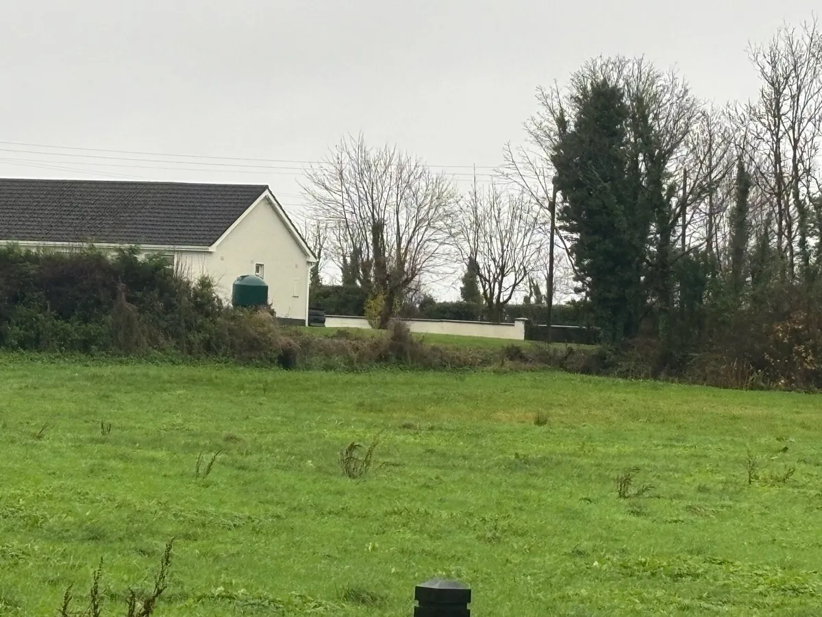 Winter Grazing - Image 1