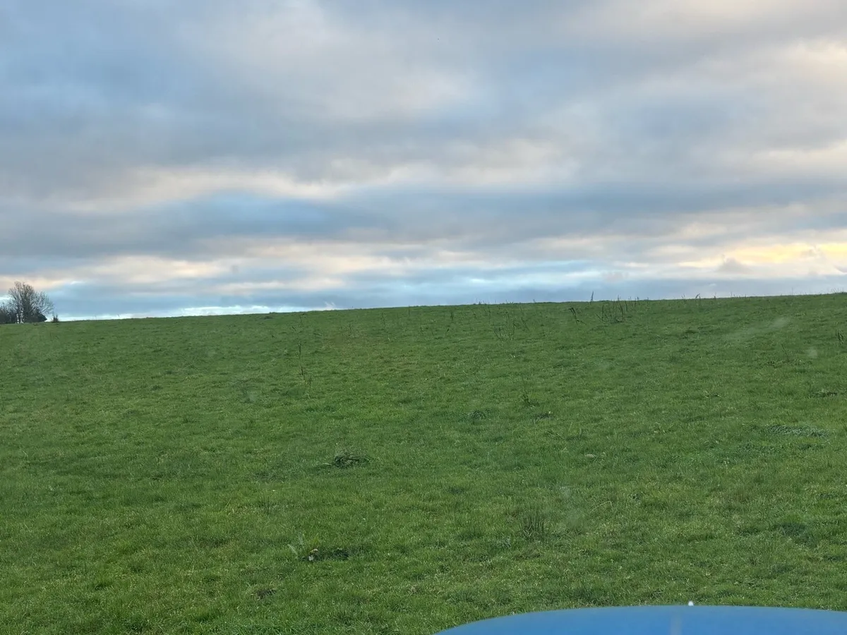 Winter Grazing - Image 3