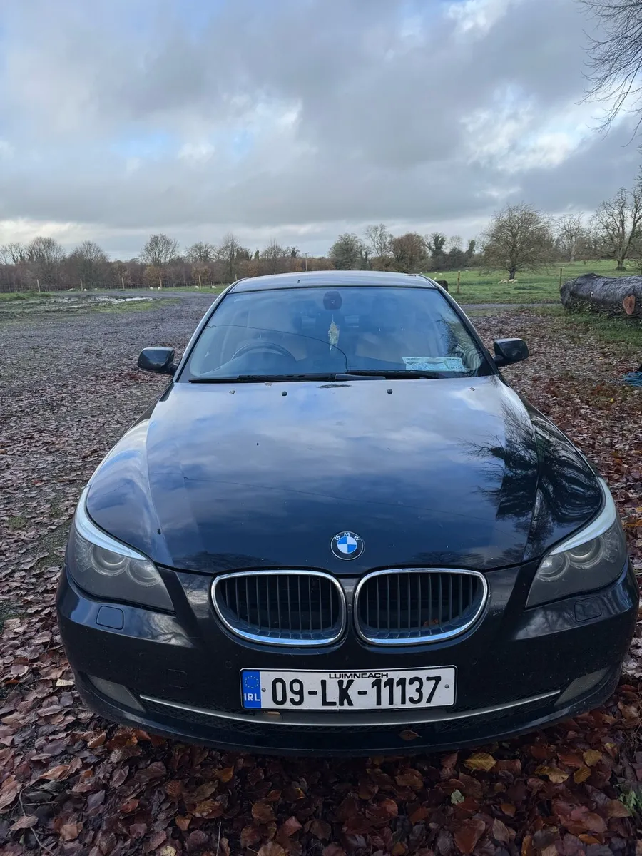 BMW 520 - Image 4