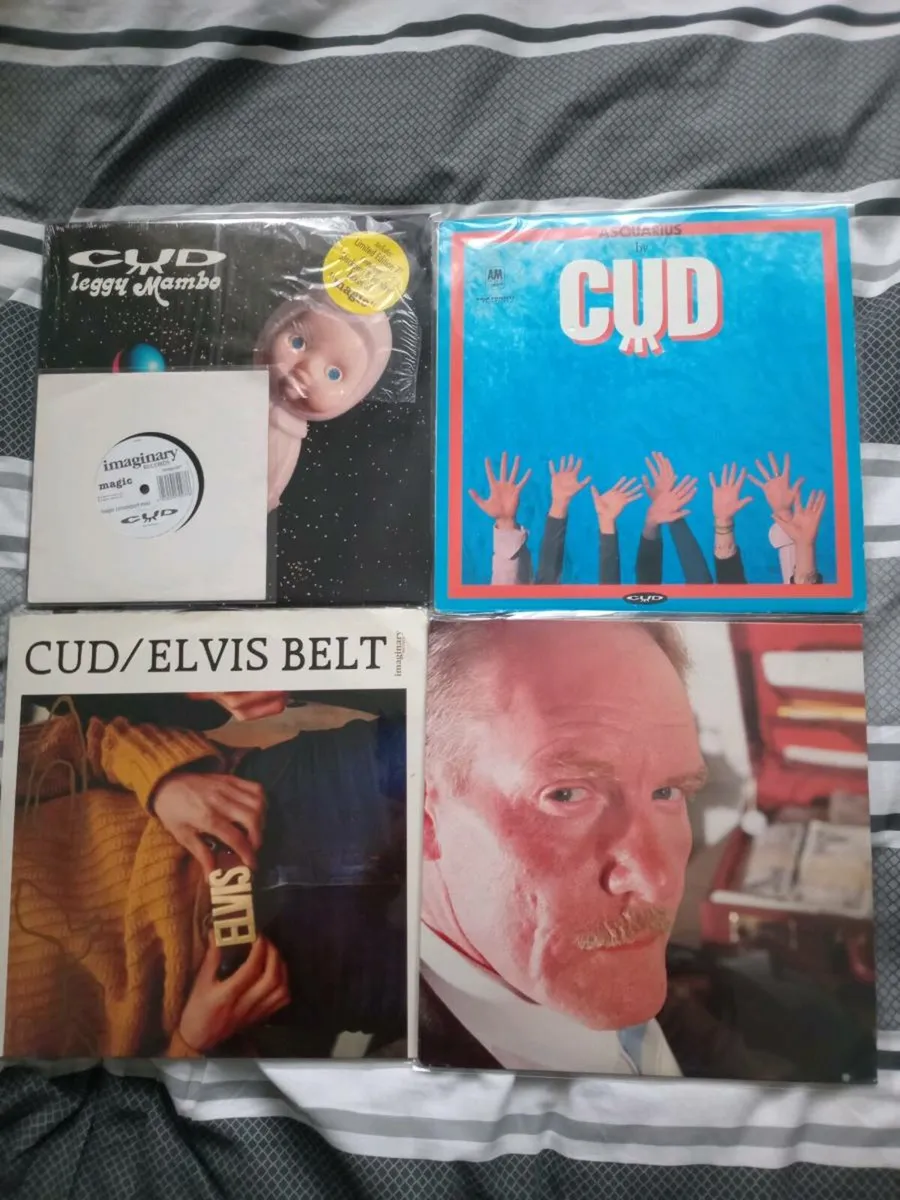 Vinyl Records - Image 1