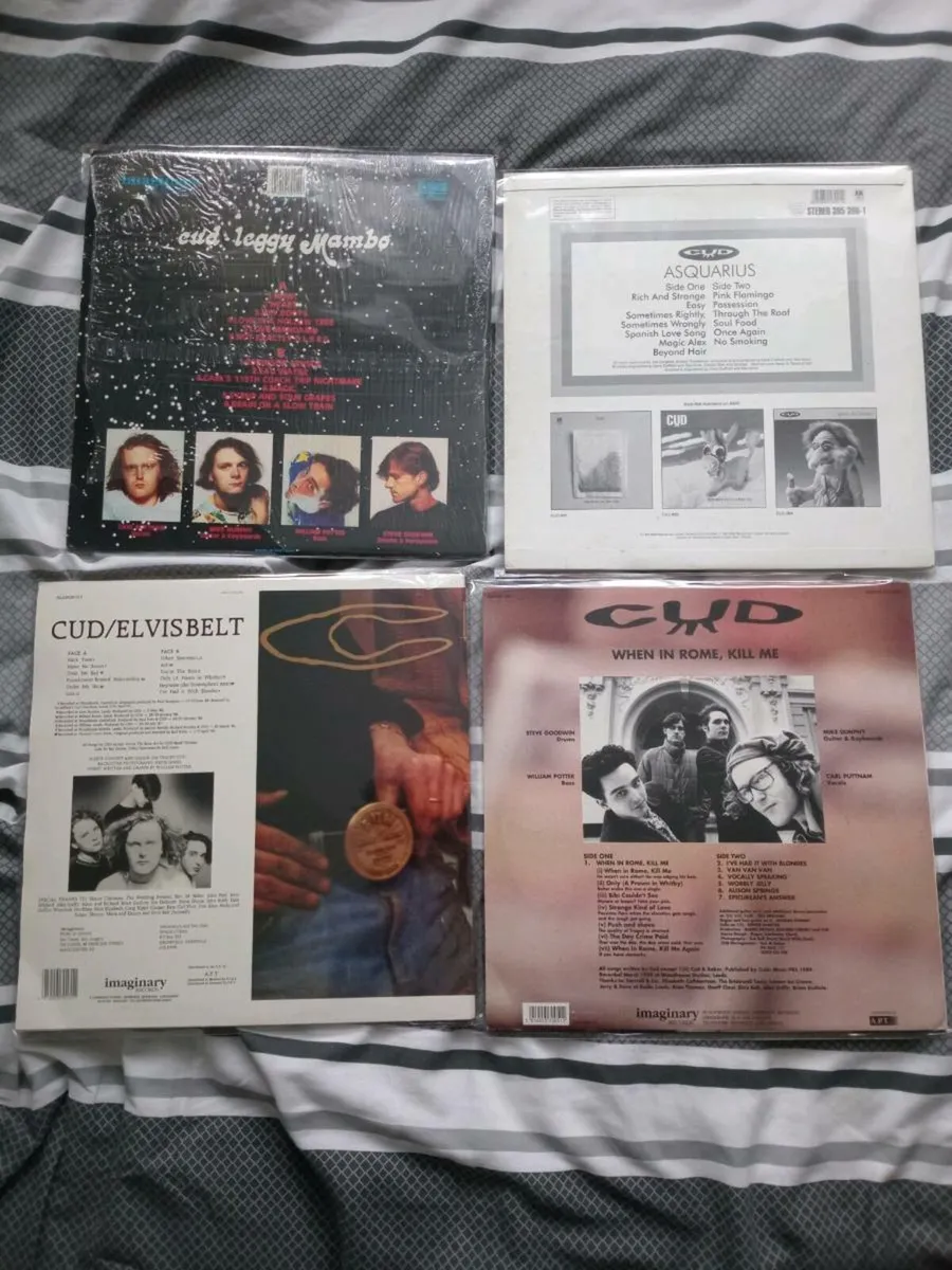 Vinyl Records - Image 2