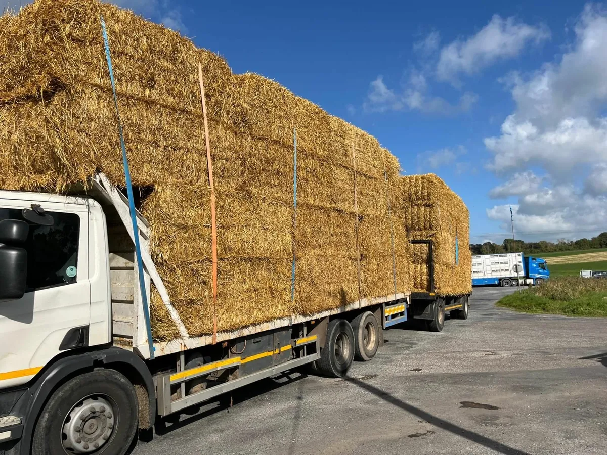IRISH   WHEATEAN Straw chopped Barley and Oaten - Image 3