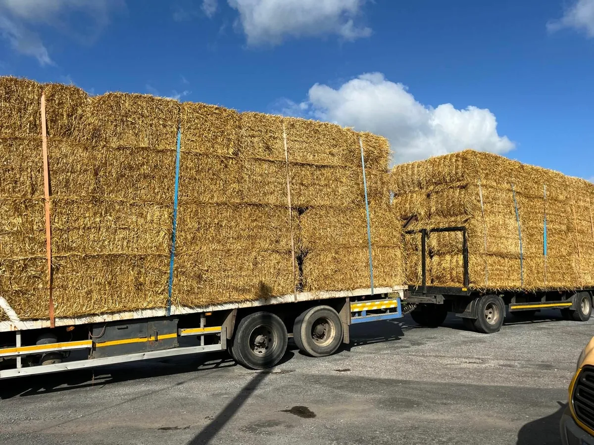 IRISH   WHEATEAN Straw chopped Barley and Oaten - Image 4