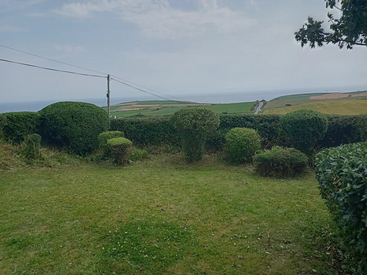 Garden Maintenance/Power Washing - Image 1