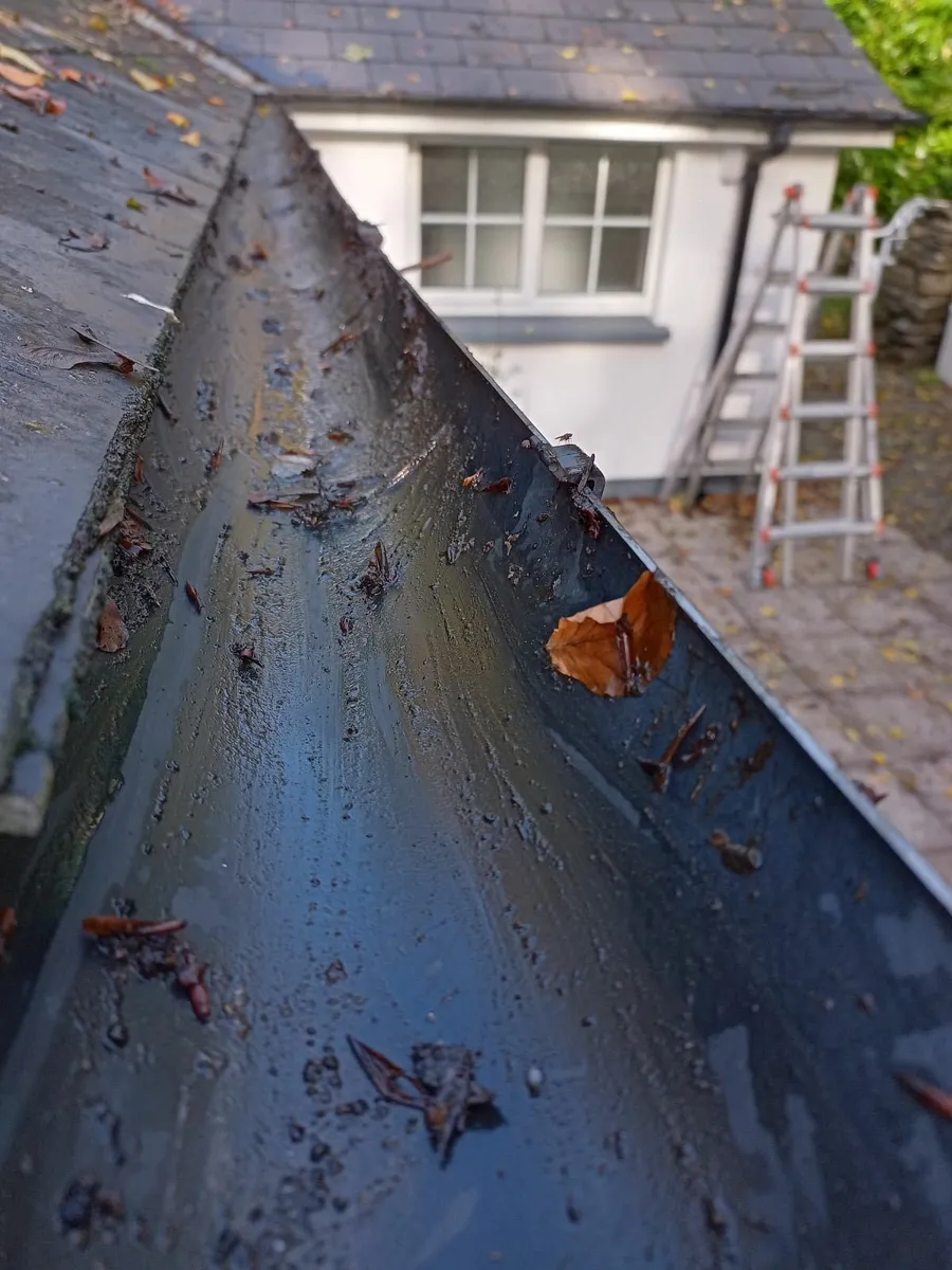 Garden Maintenance/Power Washing - Image 2