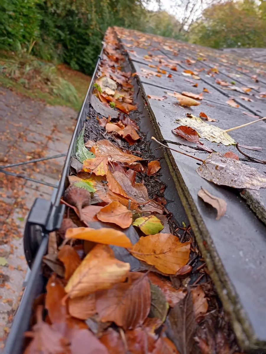 Garden Maintenance/Power Washing - Image 3
