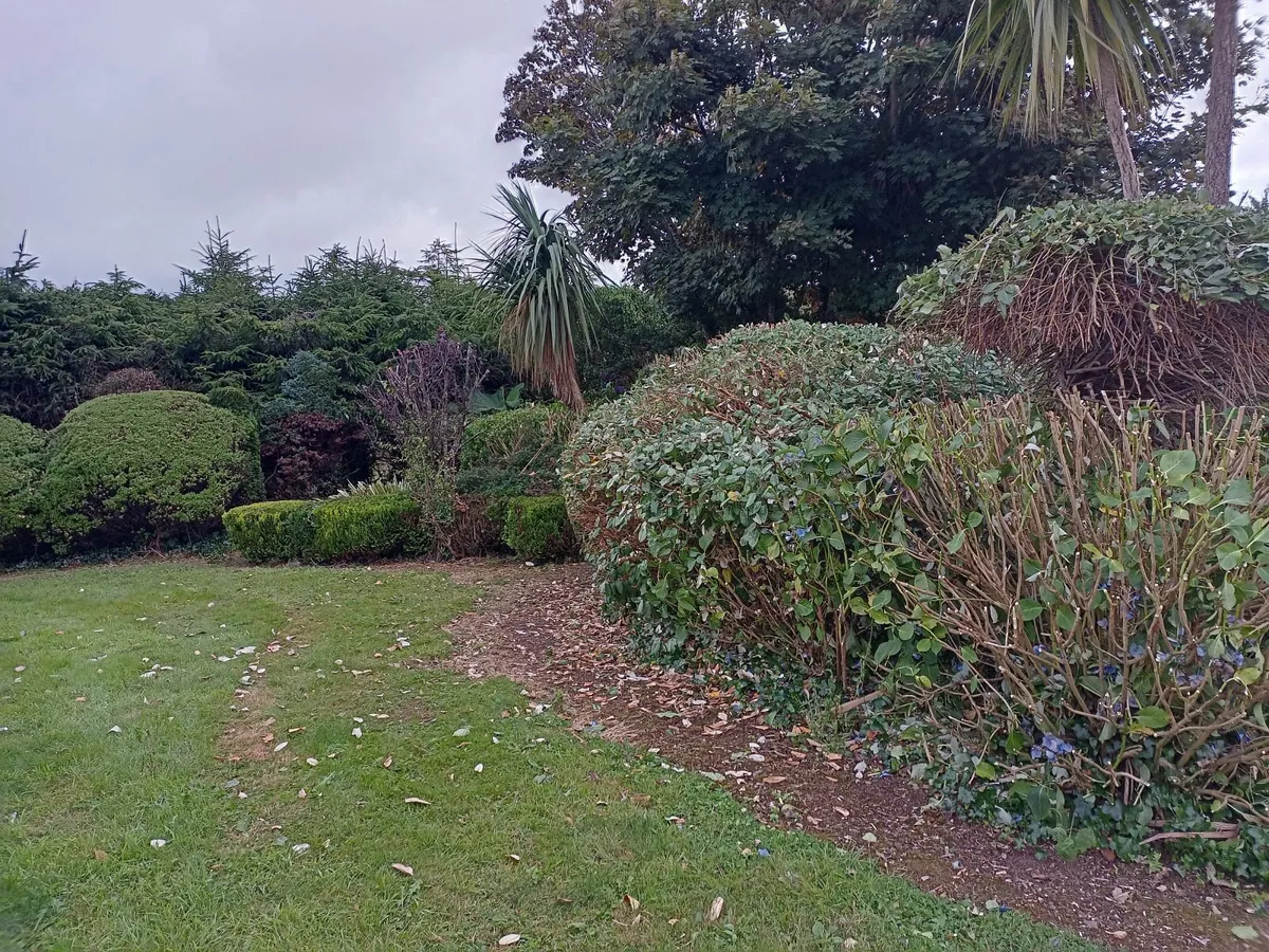 Garden Maintenance/Power Washing - Image 4