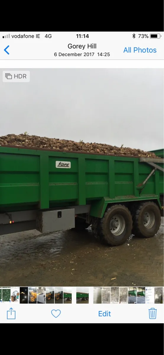 Beet for sale - Image 1