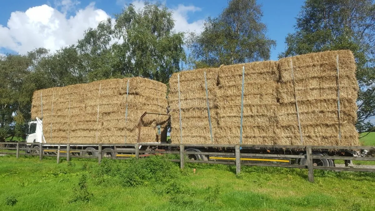 IRISH   WHEATEAN Straw chopped Barley and Oaten - Image 1