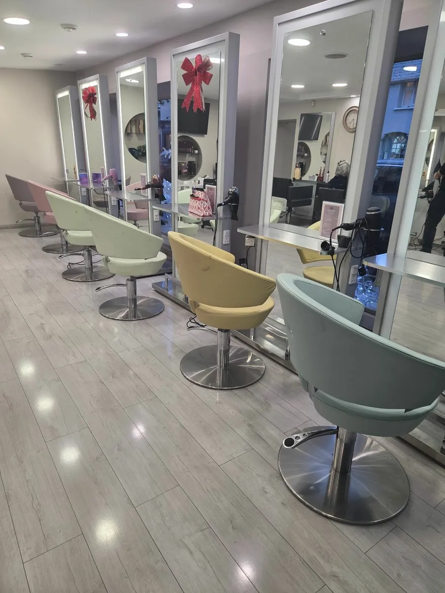 Salon chairs - Image 1