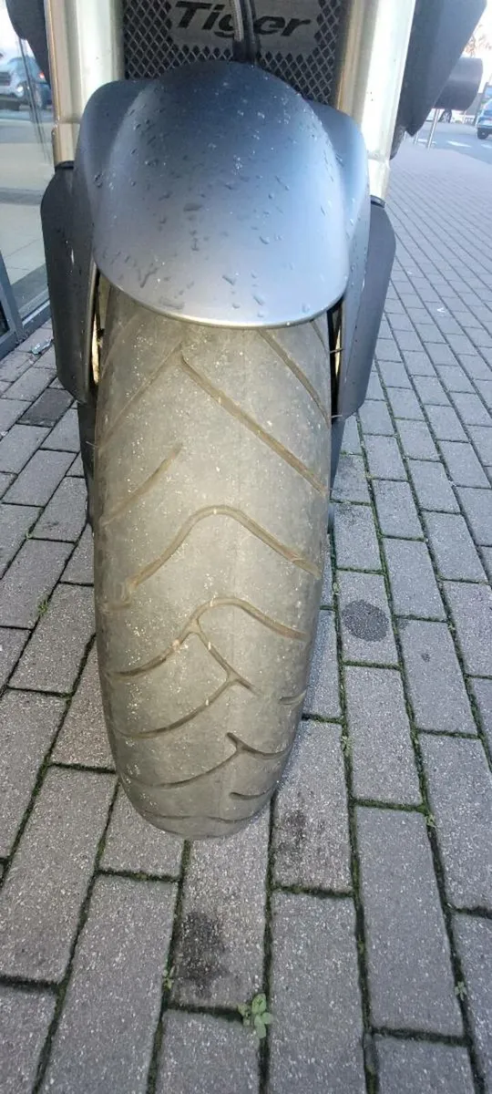 Triumph Tiger 1050cc - Image 4