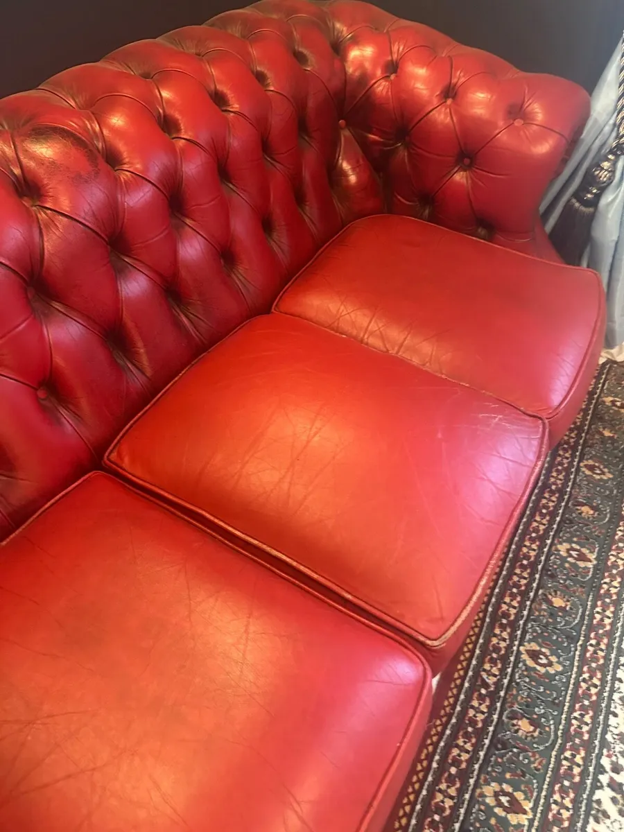 Chesterfield sofa antique - Image 3