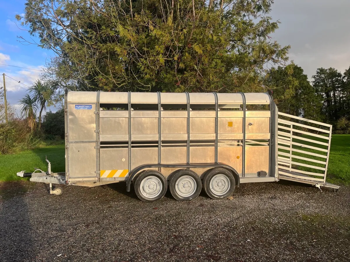 Ifor Williams cattle box