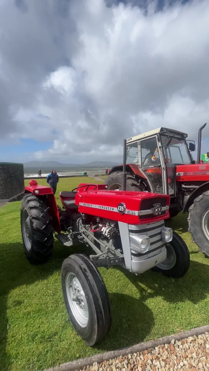 Massey Ferguson 135 - Image 3