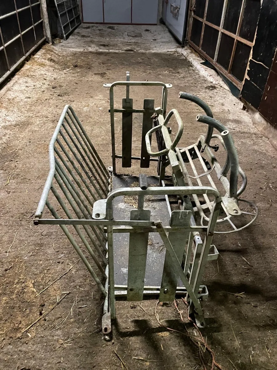 Sheep turnover crate - Image 1