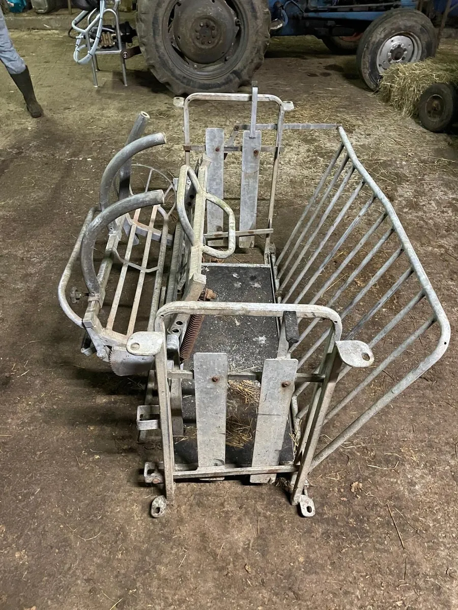 Sheep turnover crate - Image 2