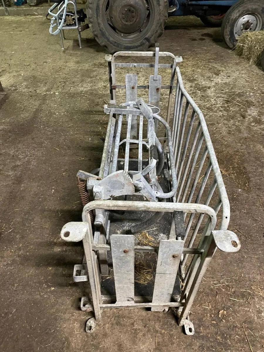 Sheep turnover crate - Image 3