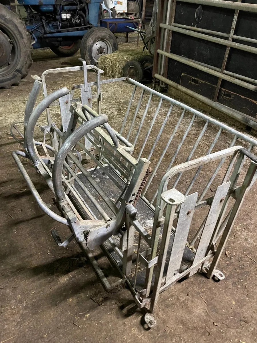 Sheep turnover crate - Image 4