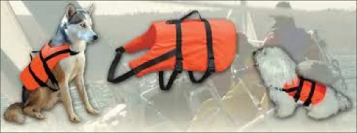 New buoyancy aid & harness, all sizes - Image 3