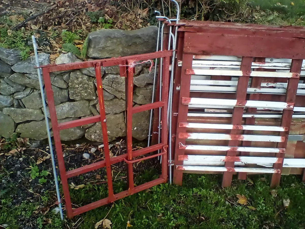 Lambing pens ,adoption front - Image 3