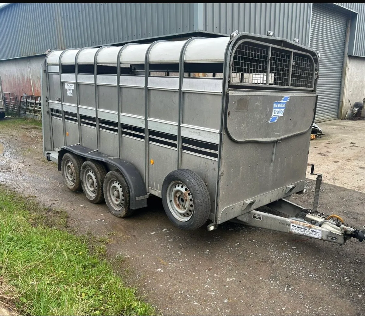 14ft ifor Williams cattle trailer - Image 1