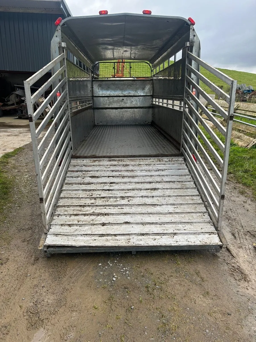 14ft ifor Williams cattle trailer - Image 4