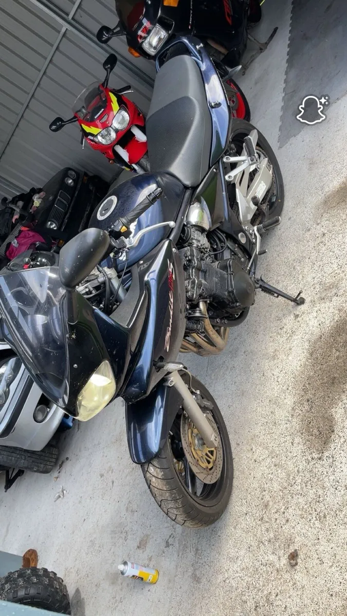 Bandit 1200s - Image 4