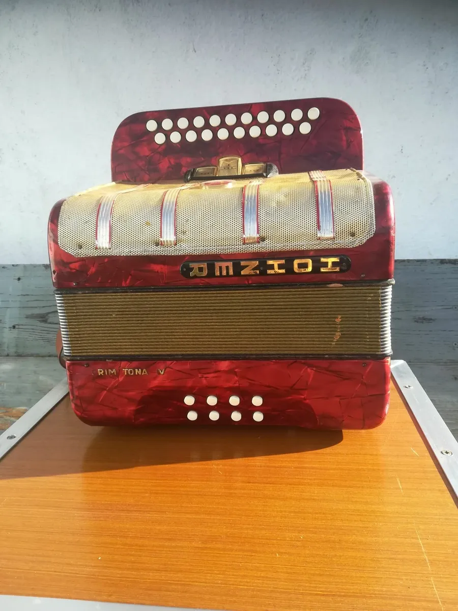 Accordions - Image 3