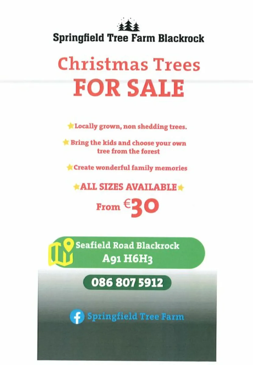 Christmas Trees For Sale