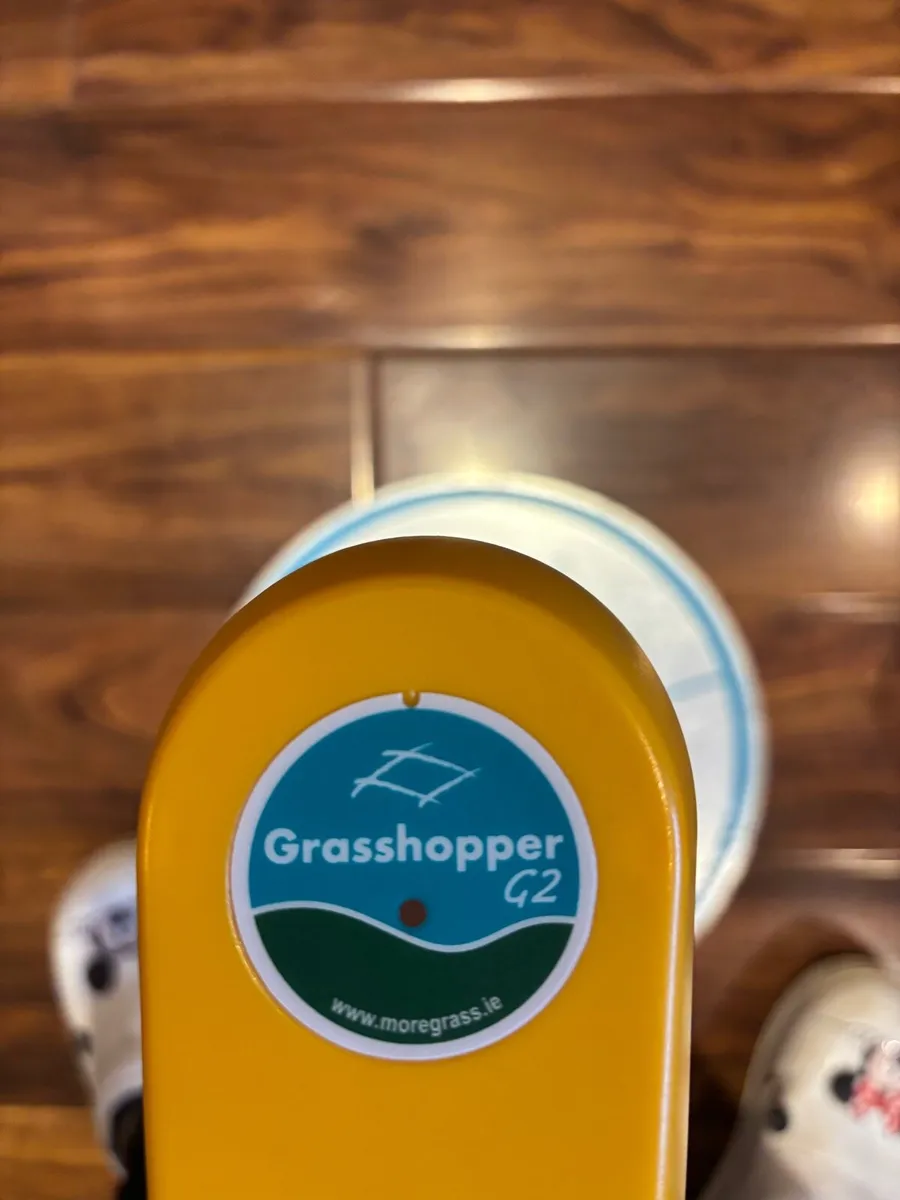 Grasshopper - Image 3