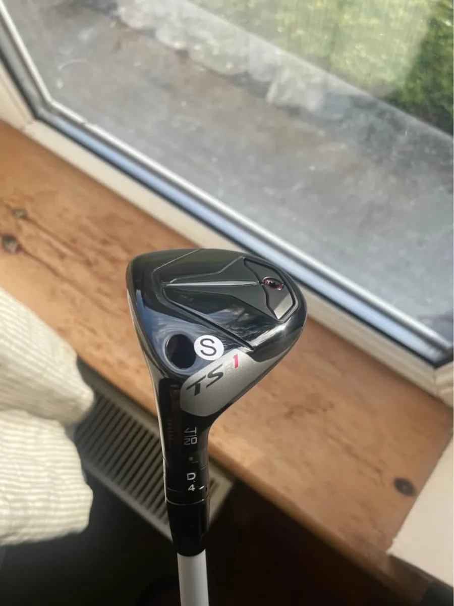 Hybrid 4 LH / Flex S Club is like new - TSr1 - Image 3