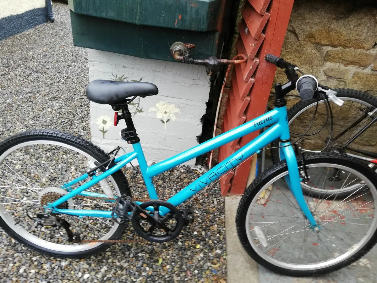 Ladies city bicycle - Image 1