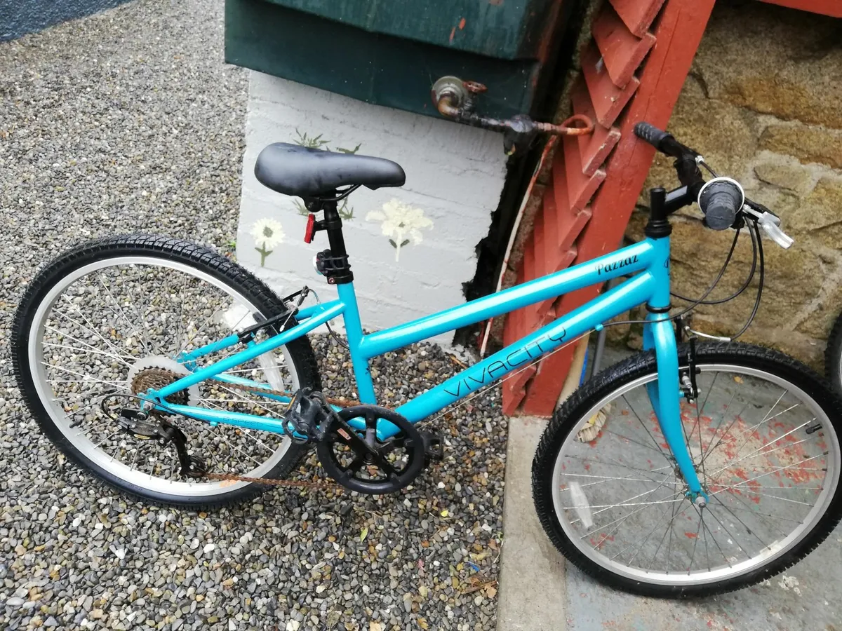 Ladies city bicycle - Image 2