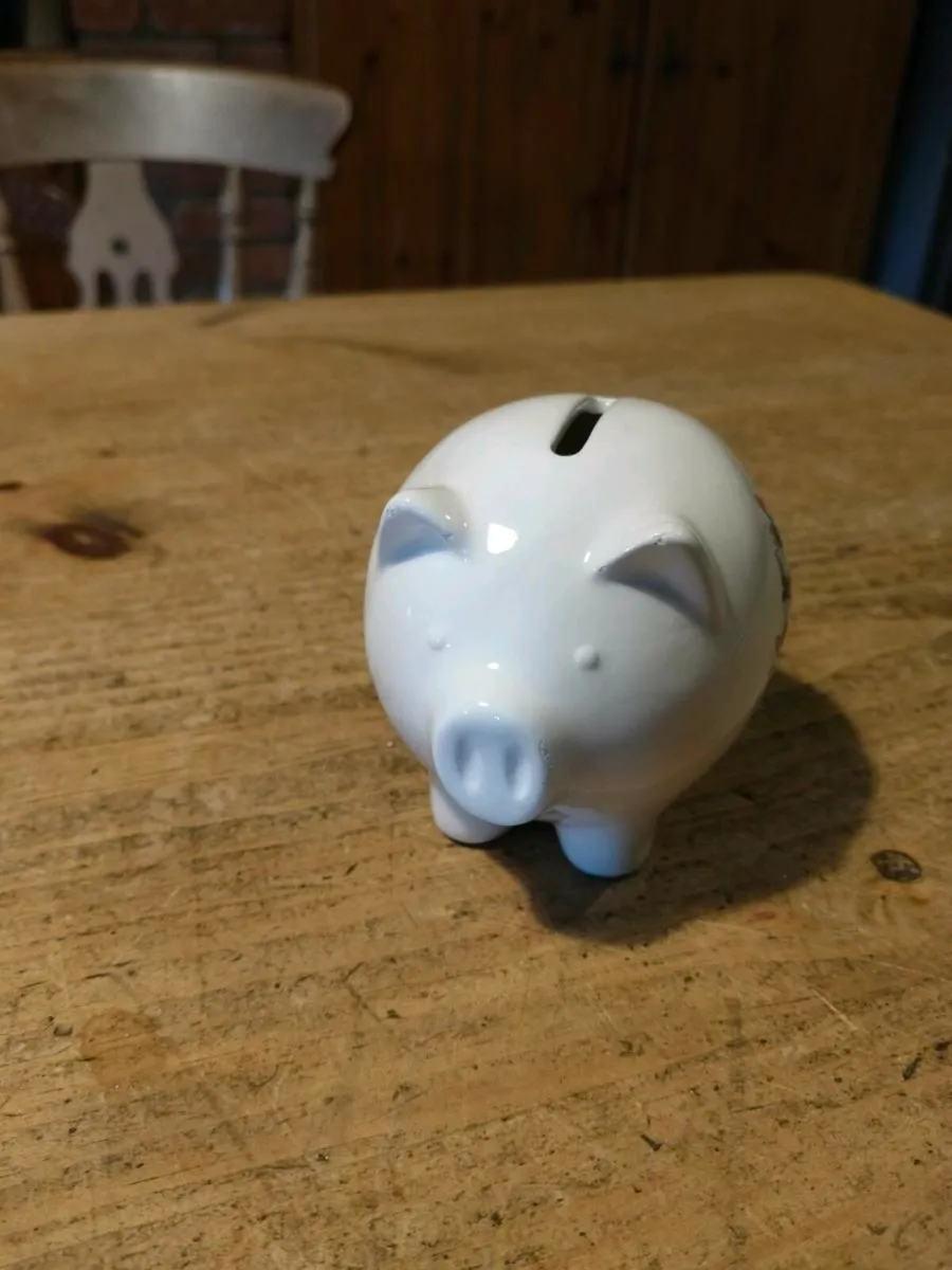 Ceramic Money box new never used Mr and mrs - Image 2