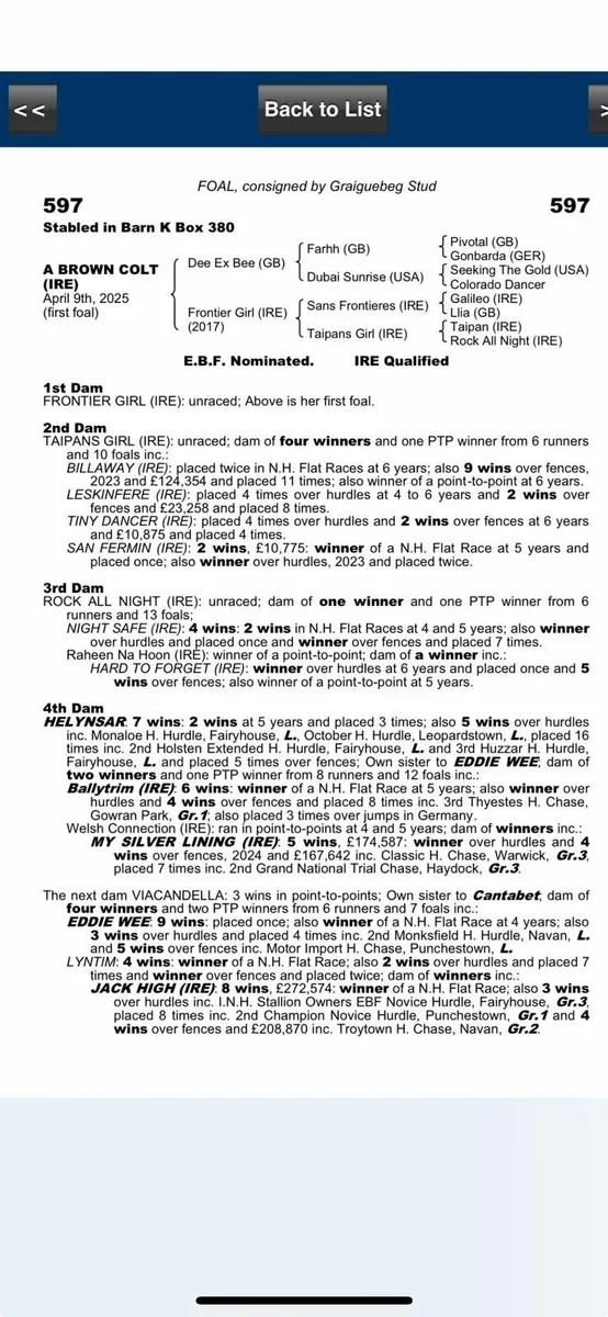 Broodmare ready for early cover - Image 4