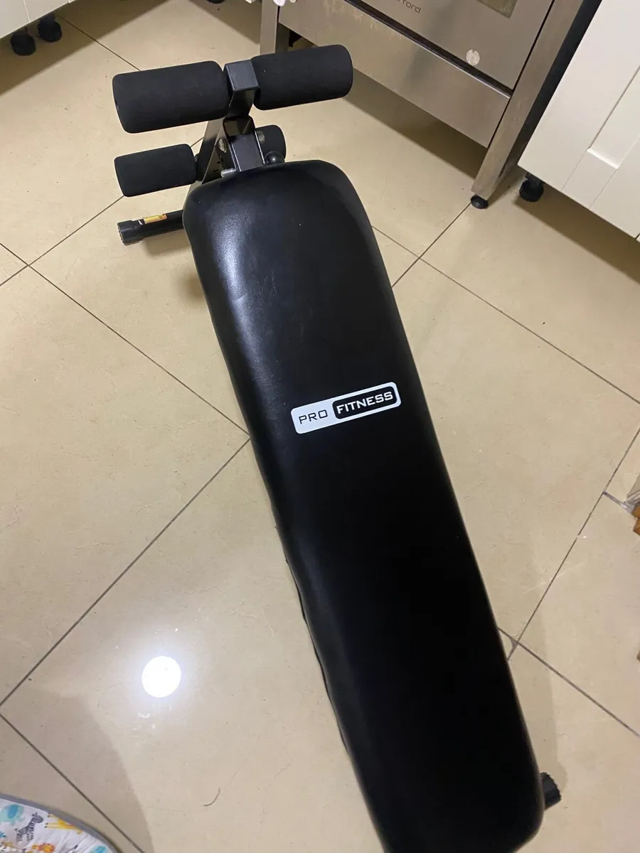Pro Fitness Exercise Bench - Image 1