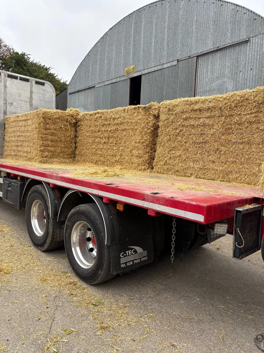 English Barley Straw and Hay - Image 1