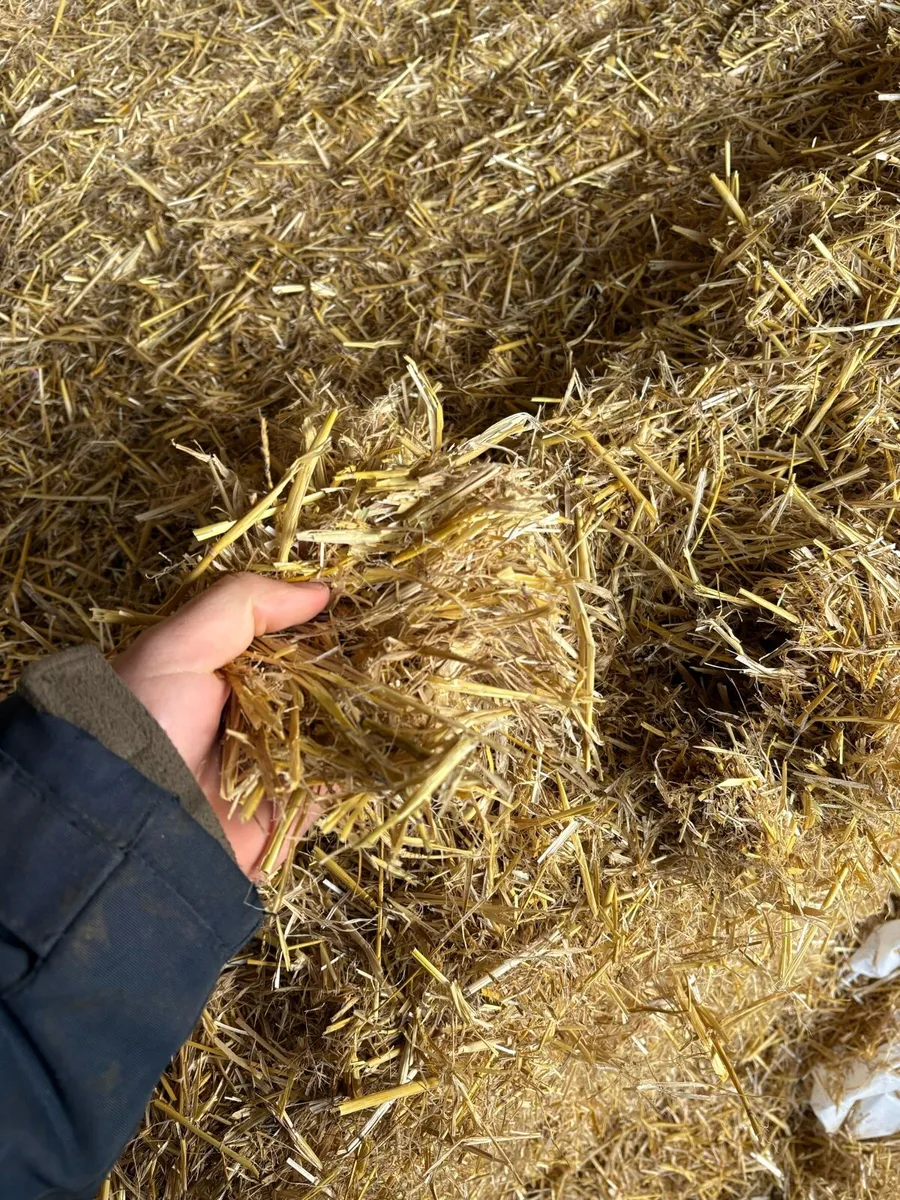English Barley Straw and Hay - Image 2
