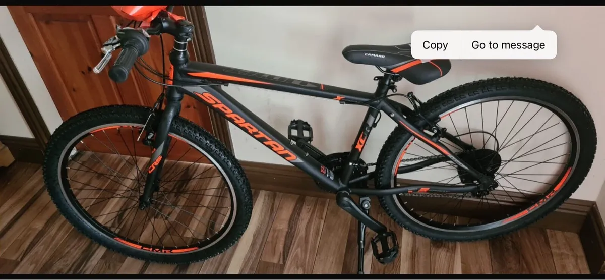 Child’s mountain bike