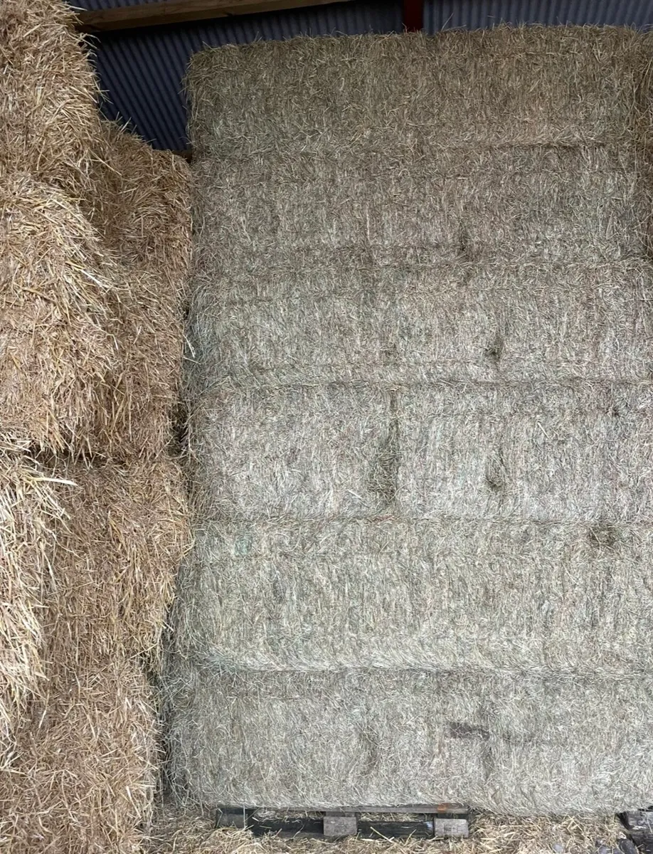 English Barley Straw and Hay - Image 3