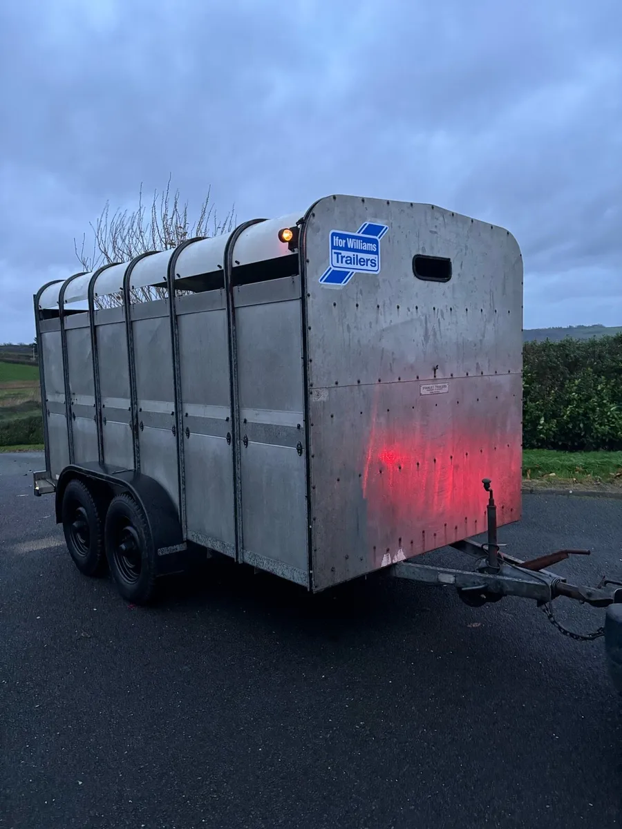 Ifor williams 12x6 cattle box - Image 1
